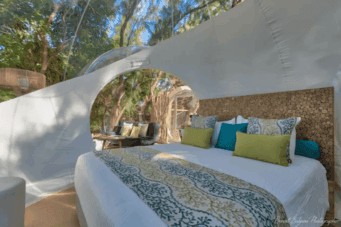 Schlafbereich der Bubble Lodge Ile aux Cerfs mit Doppelbett und Blick ins Grüne