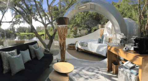 Zimmer der Bubble Lodge Ile aux Cerfs mit Bett, Lounge-Bereich und Blick auf die Natur