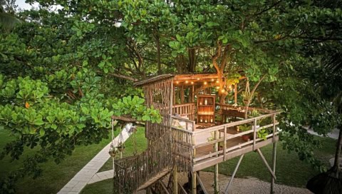 Beleuchtetes Baumhaus im LUX Le Morne inmitten tropischer Bäume