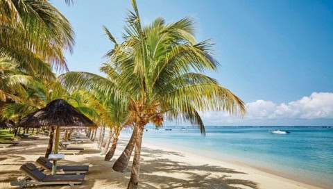 Sandstrand des LUX Le Morne mit Palmen, Liegen und türkisblauem Meer